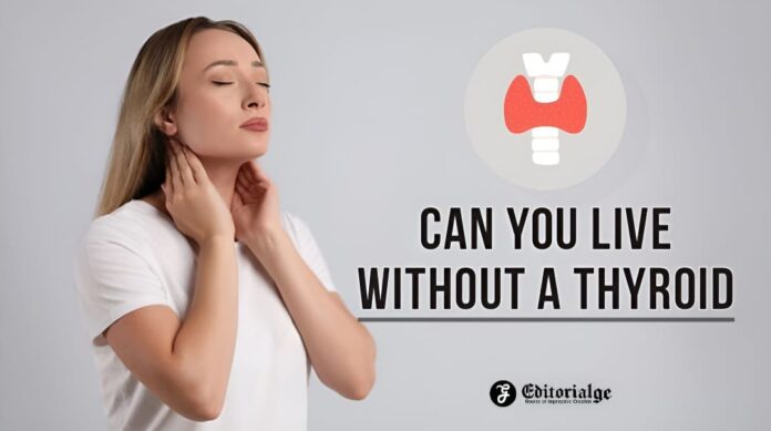 Can you live without a thyroid