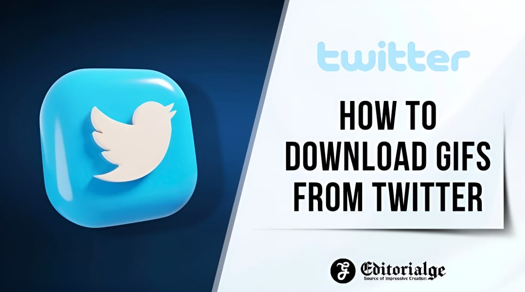 How to download gifs from twitter