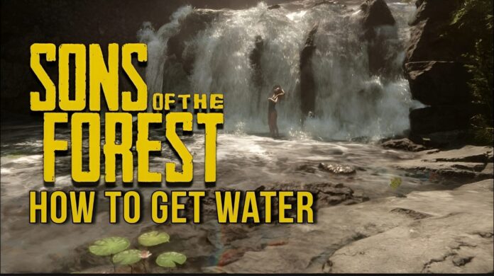 How to get water in sons of the forest