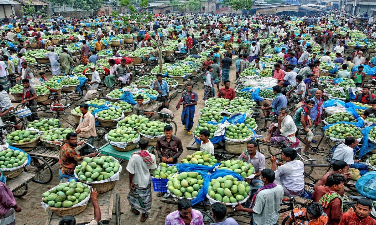 Mango Producing Countries in The World