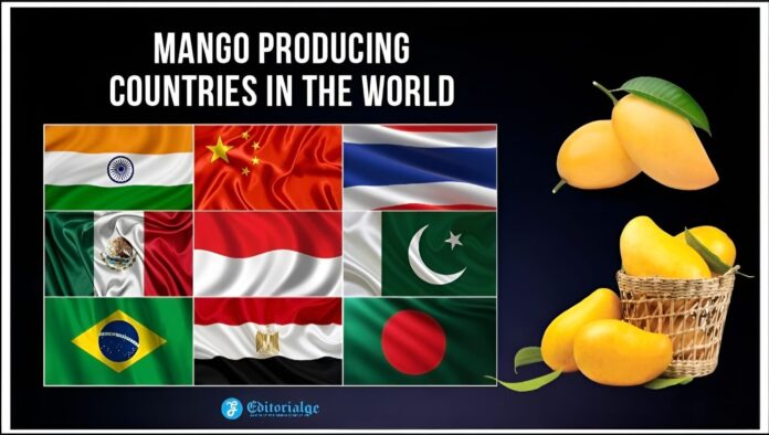 Mango Producing Countries in the World