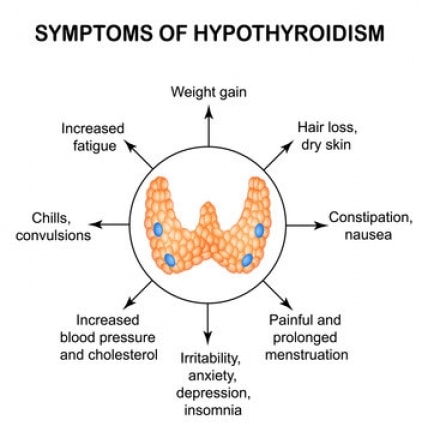 hypothyroidism