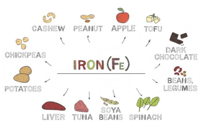 iron rich foods