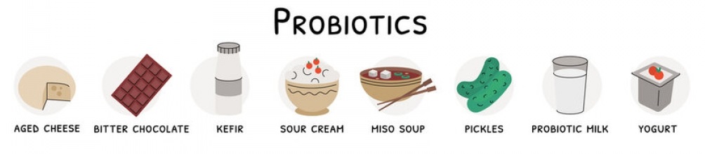 probiotic rich foods