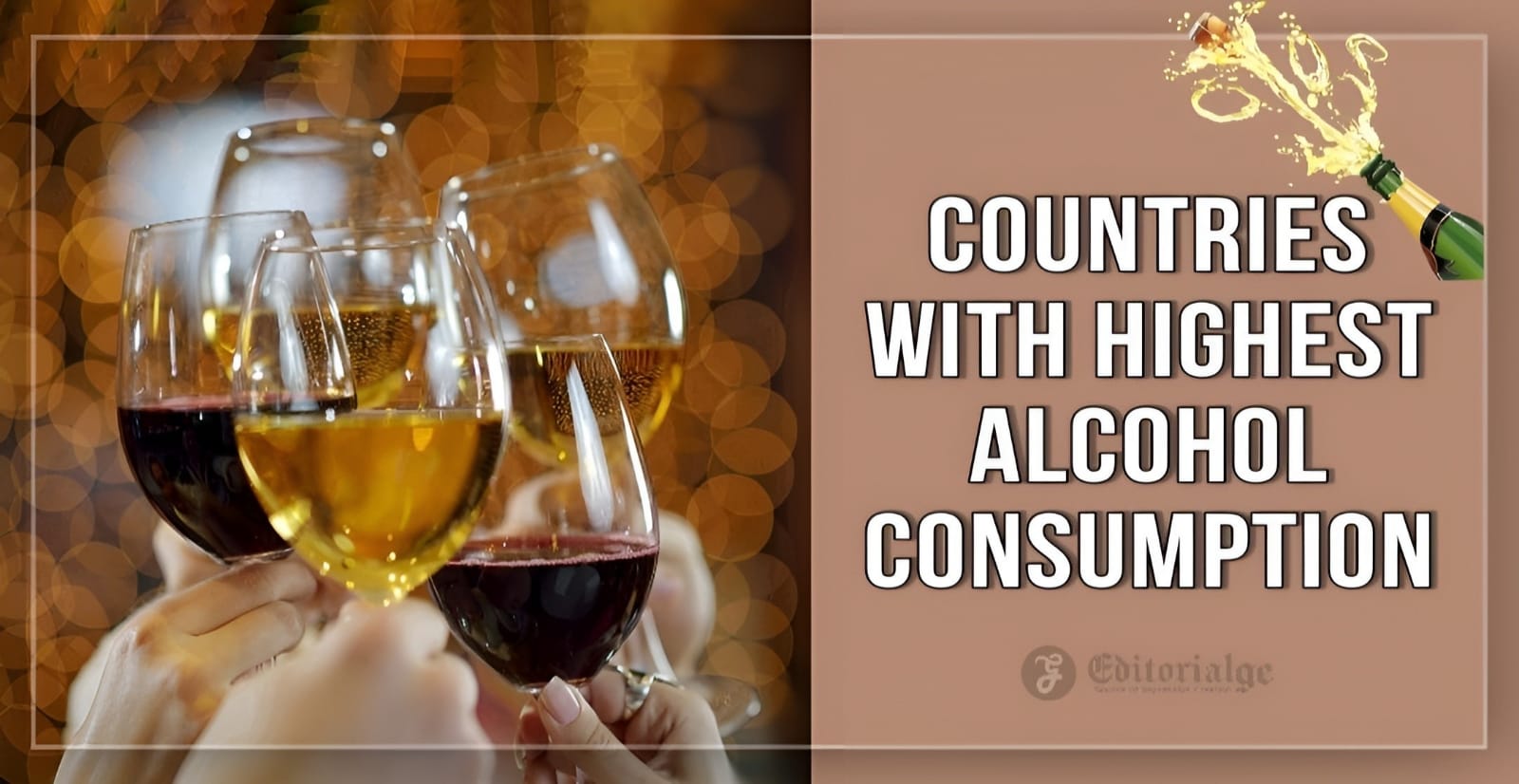 Countries with Highest Alcohol Consumption