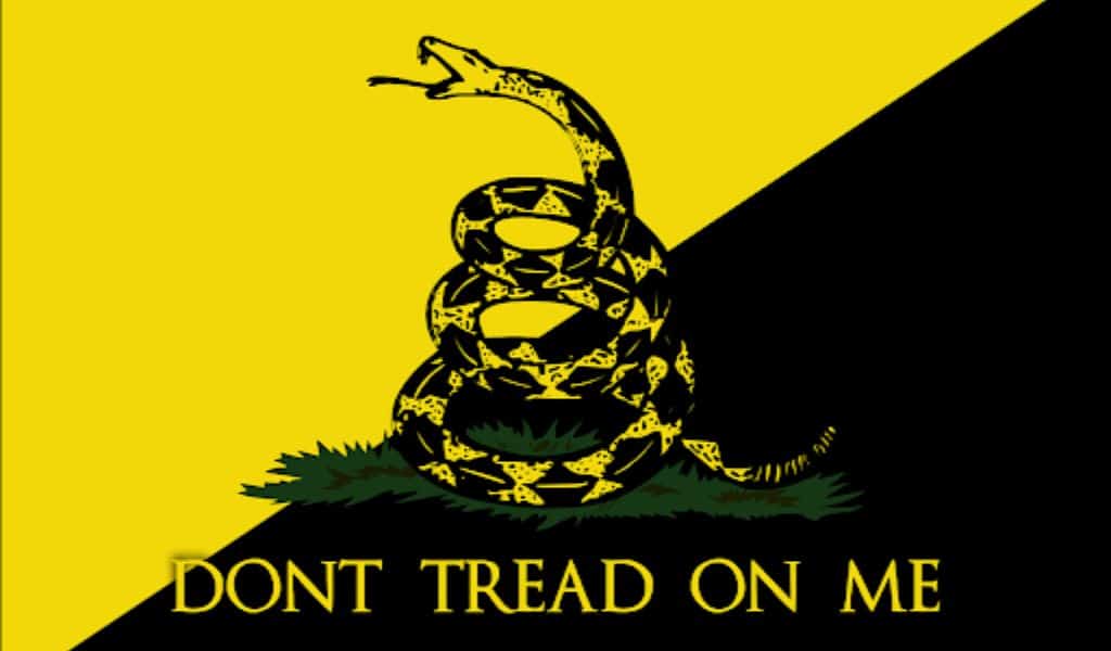 Don't Tread on Me Flags Mean