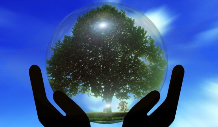 Embracing Transformation and Growth