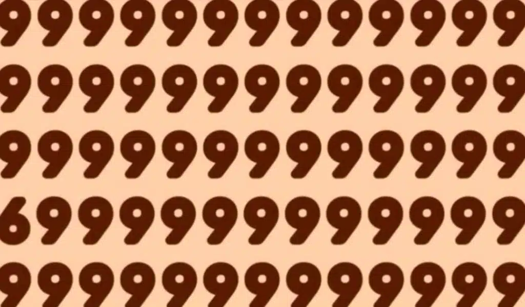 Spot 6 Among 9 in 3 Seconds