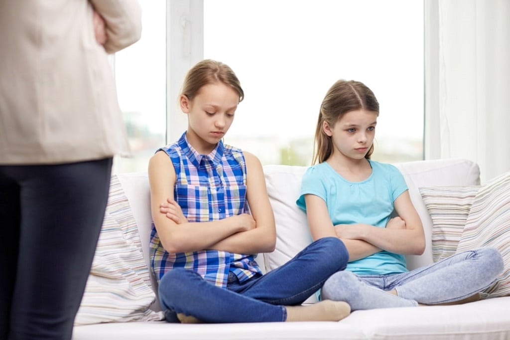 What is a Stepchild's Role