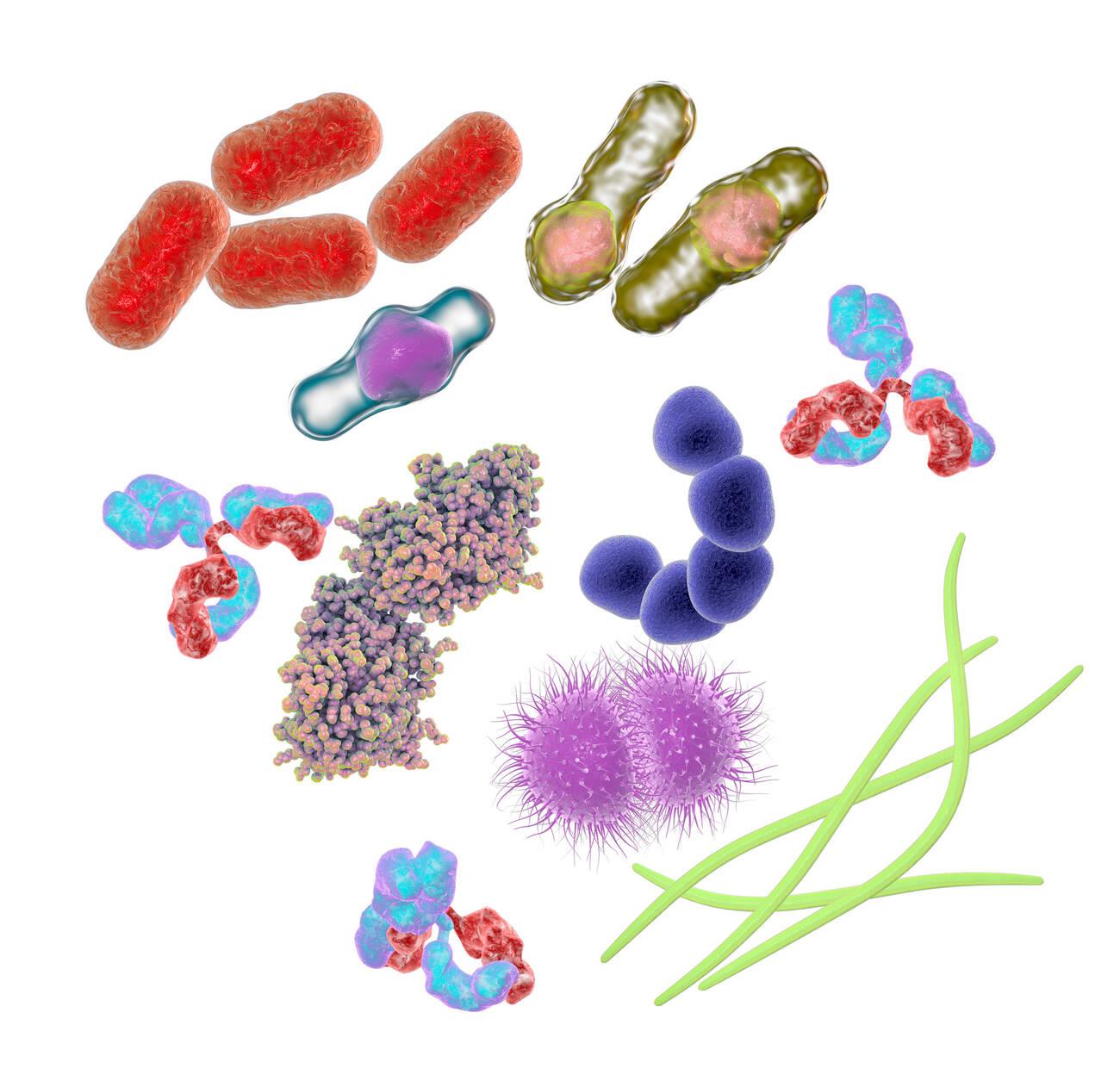 Microbes and molecules of different shapes and sizes