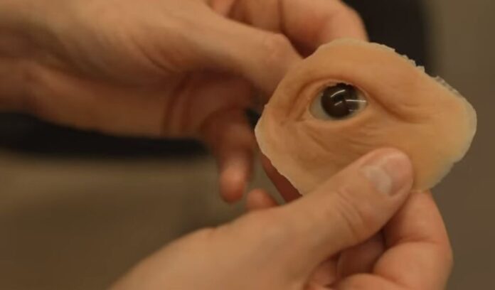 Artificial Eyes for Patient
