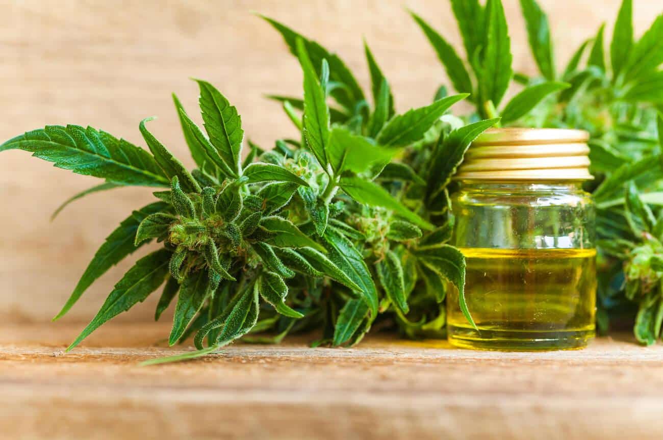 CBD oil