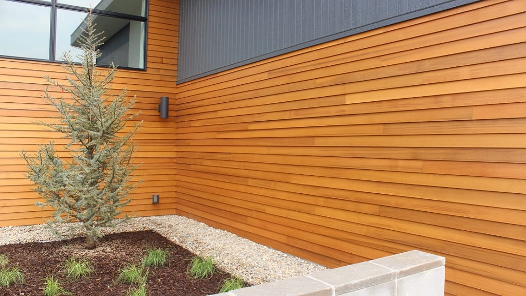 Cedar Siding