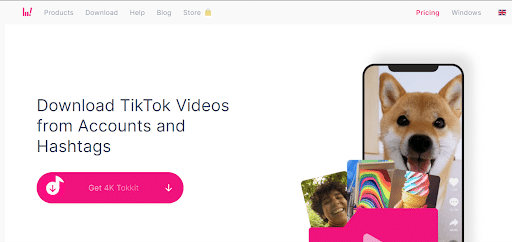 Online TikTok Video Downloader