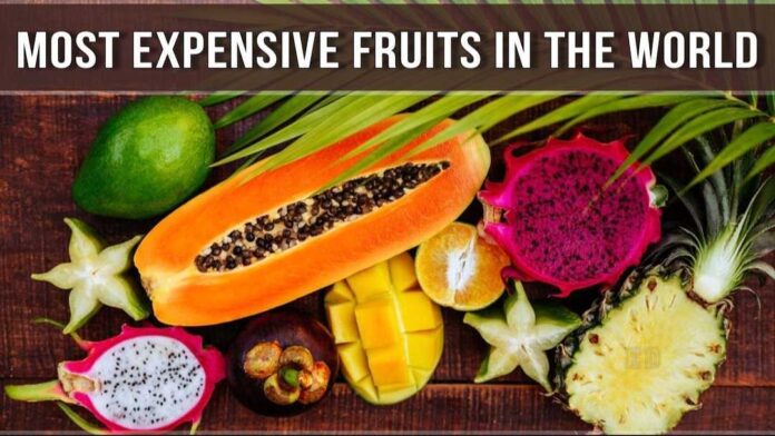 Most Expensive Fruits in The World