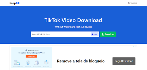 Online TikTok Video Download