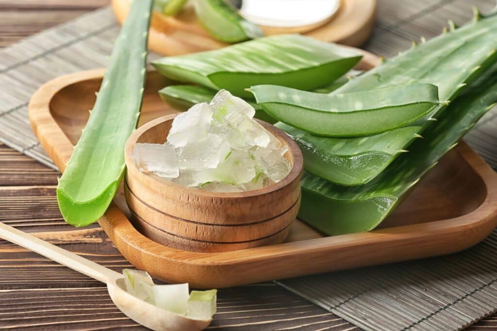 What is Aloe Vera Gel