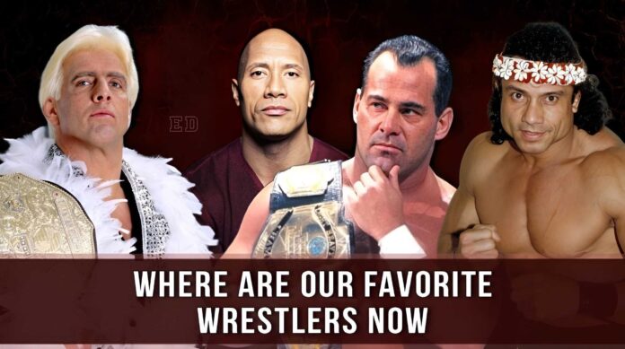 Where are Our Favorite Wrestlers Now
