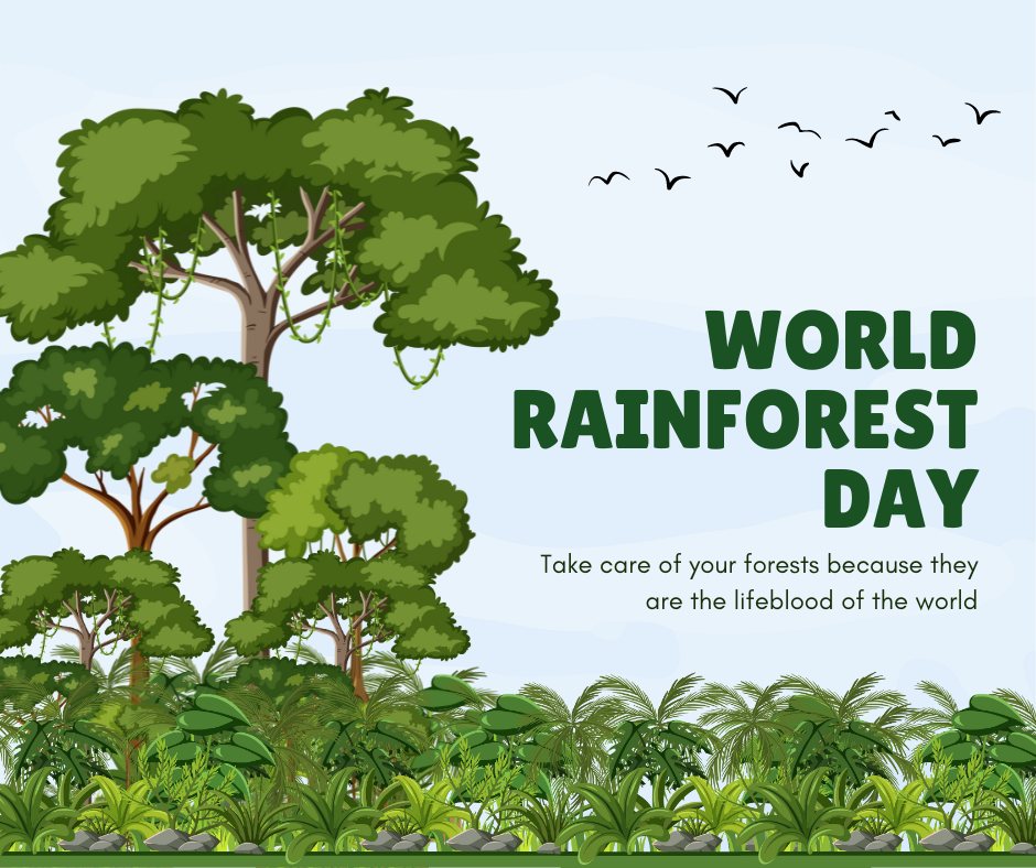 world rainforest day 2023