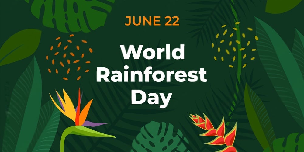 World Rainforest Day 2023 History, Significance, and Wishes