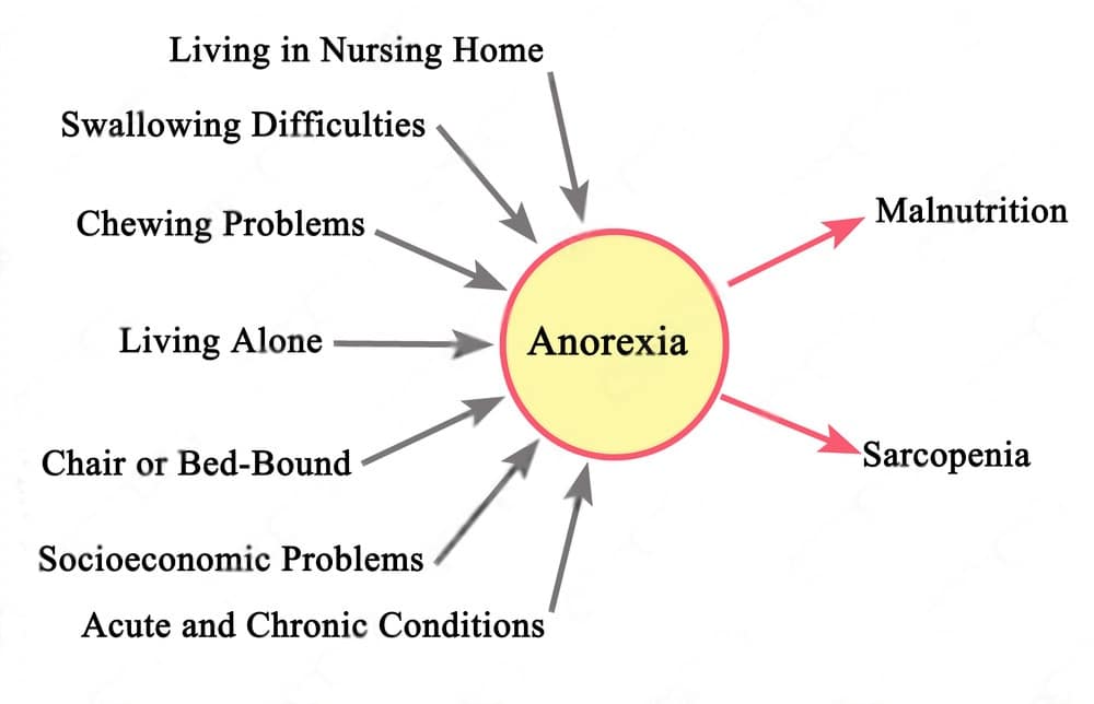 anorexia causes