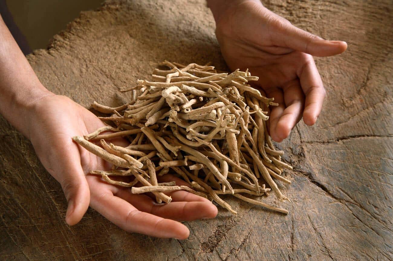 does ashwagandha make men horny