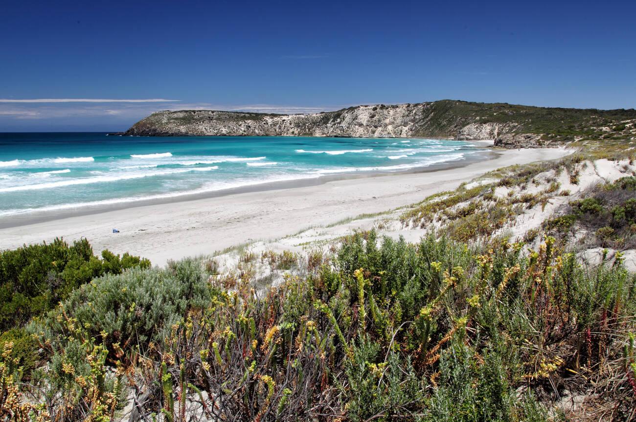 Coastal landscape in Pennington Bay on Kangaroo Island, South Australia, Australia