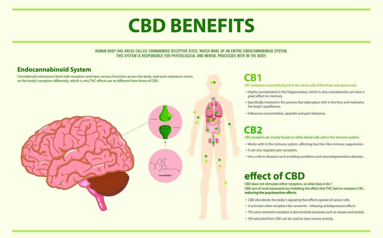 benefits of CBD