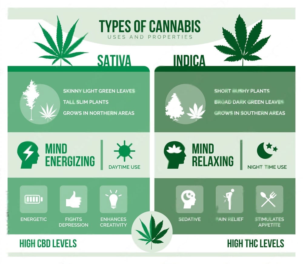 types of cannabis