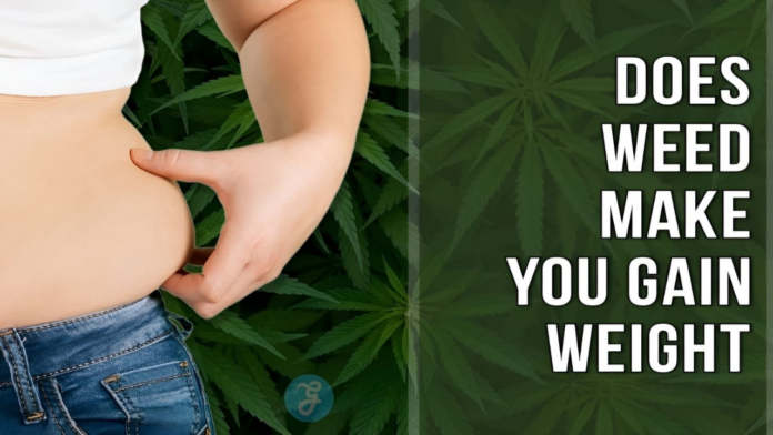 does weed make you gain weight