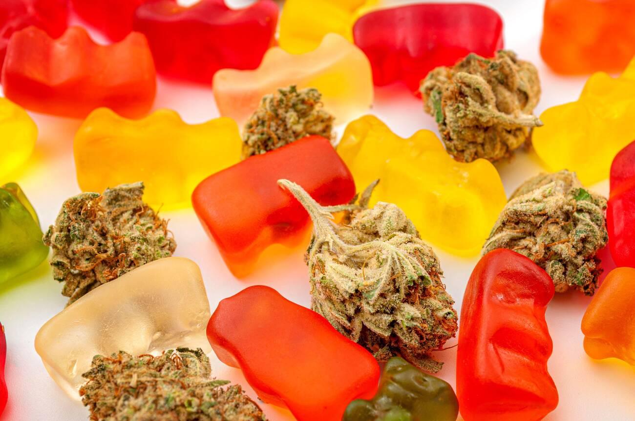 Cannabis edibles, medical marijuana, CBD infused gummies