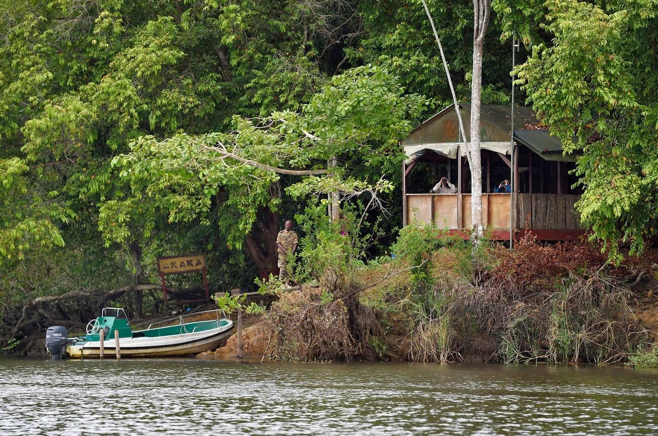 Gabon, Ogooue-Maritime Province, Loango National Park