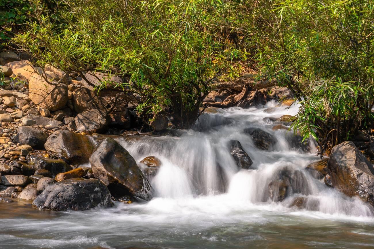 River Palpala near lulung, Similipal National Park,Orissa.