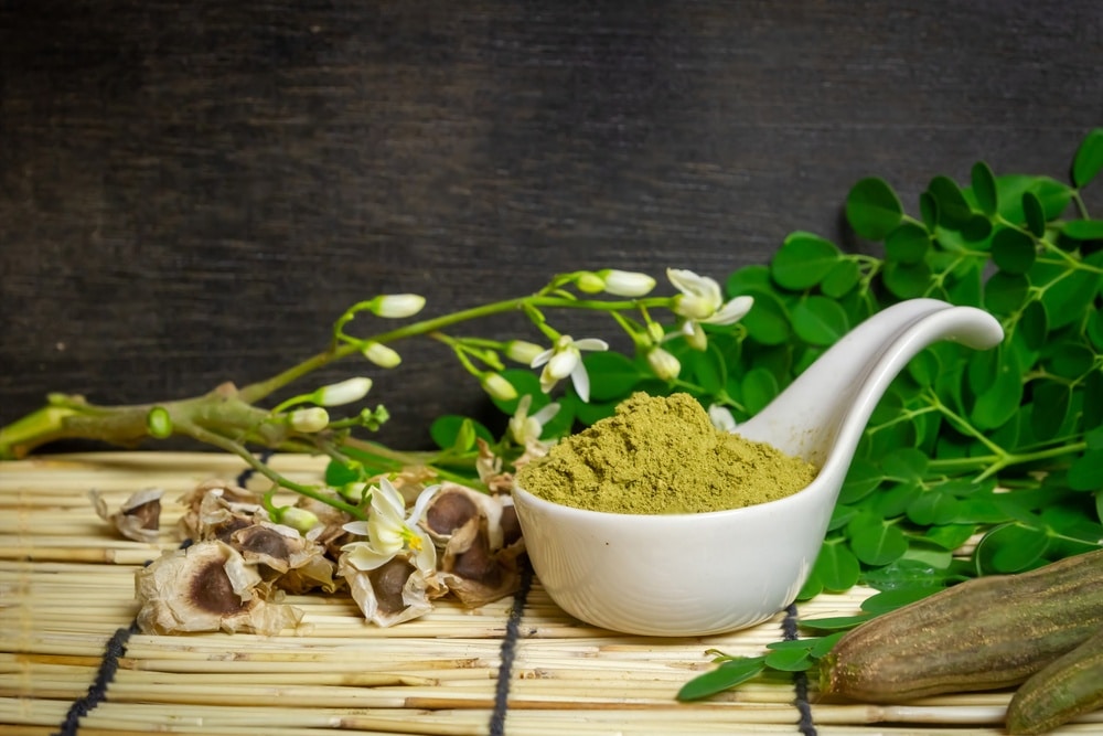 moringa powder