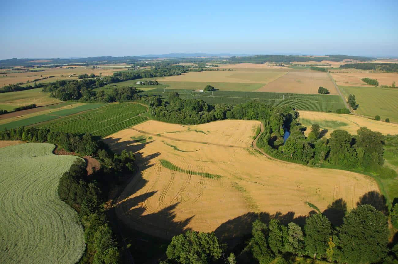 Aerial view of farmland, Willamette Valley Oregon