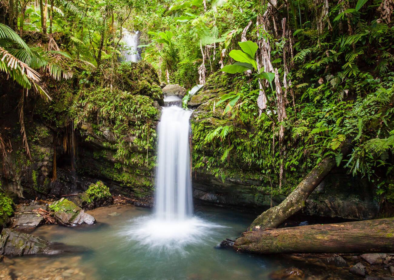 Juan Diego Falls in El Yunque Rainforest, Puerto Rico