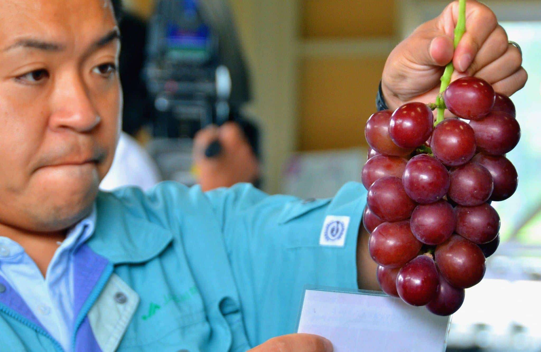 ruby roman grapes