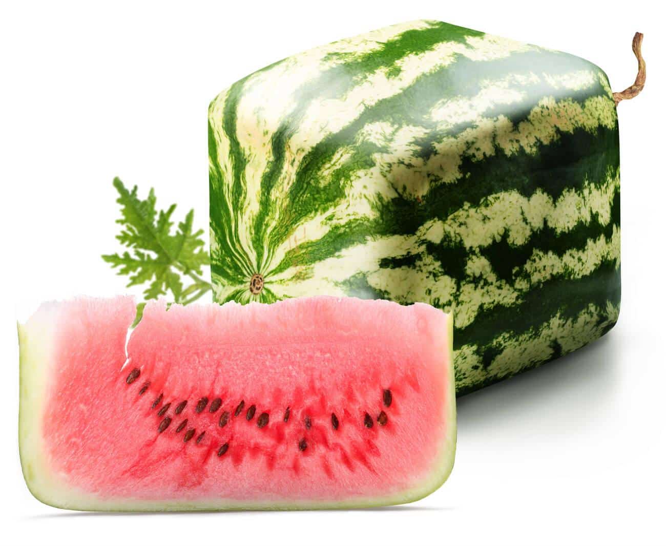 square watermelon