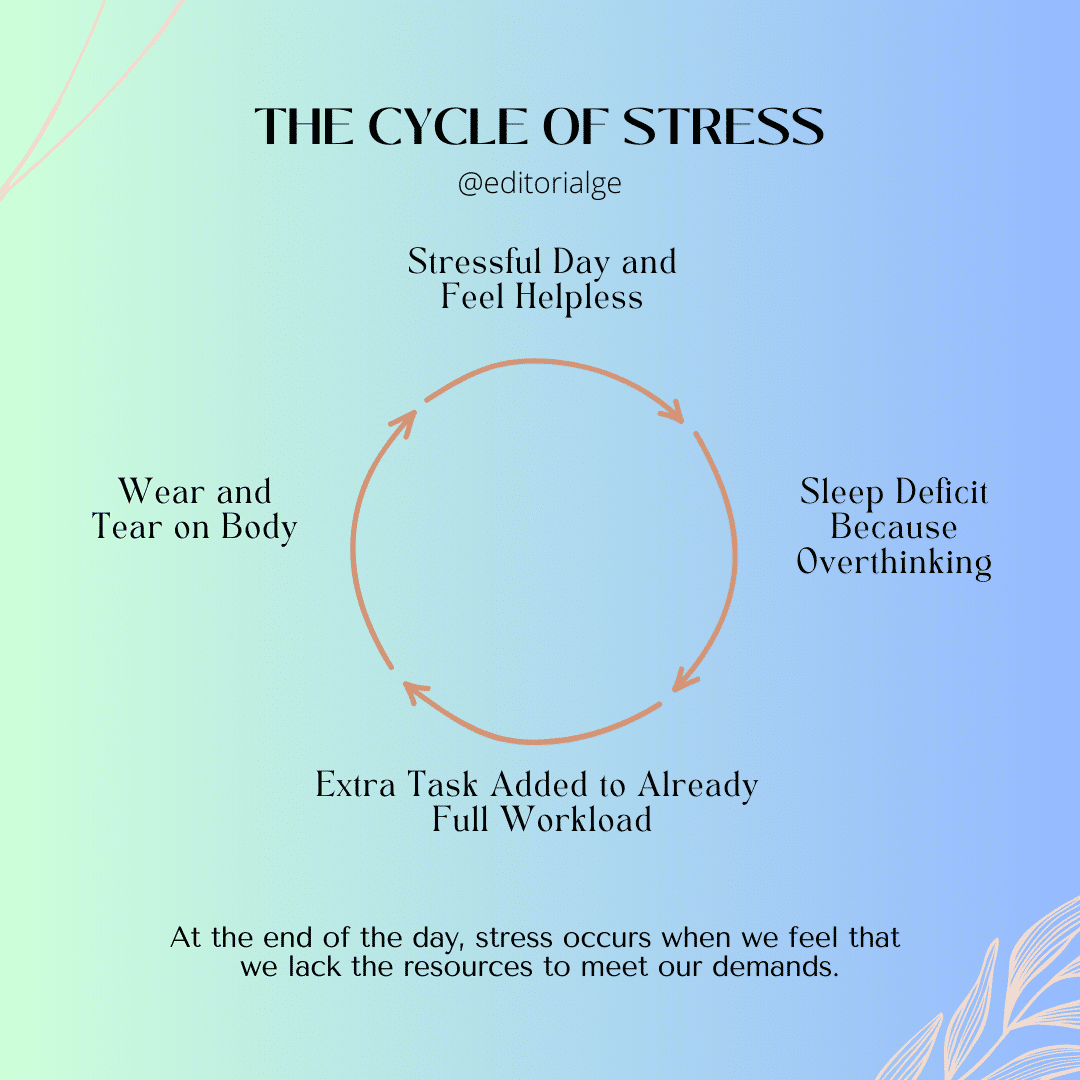the cycle of stress infographic