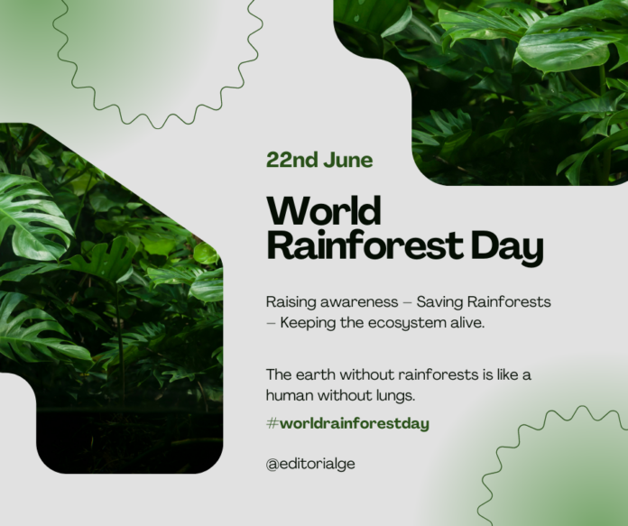 World Rainforest Day 2023 History, Significance, and Wishes