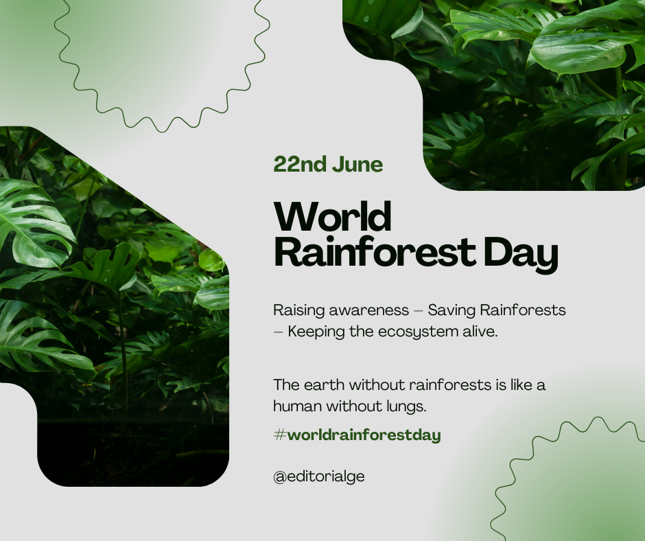 world rainforest day wishes
