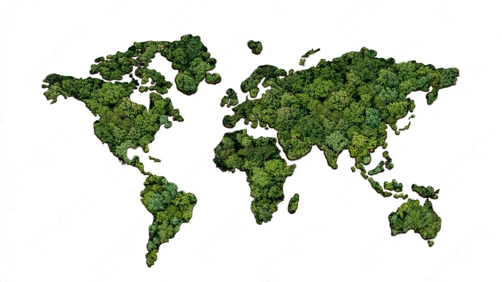 World Rainforest in a map