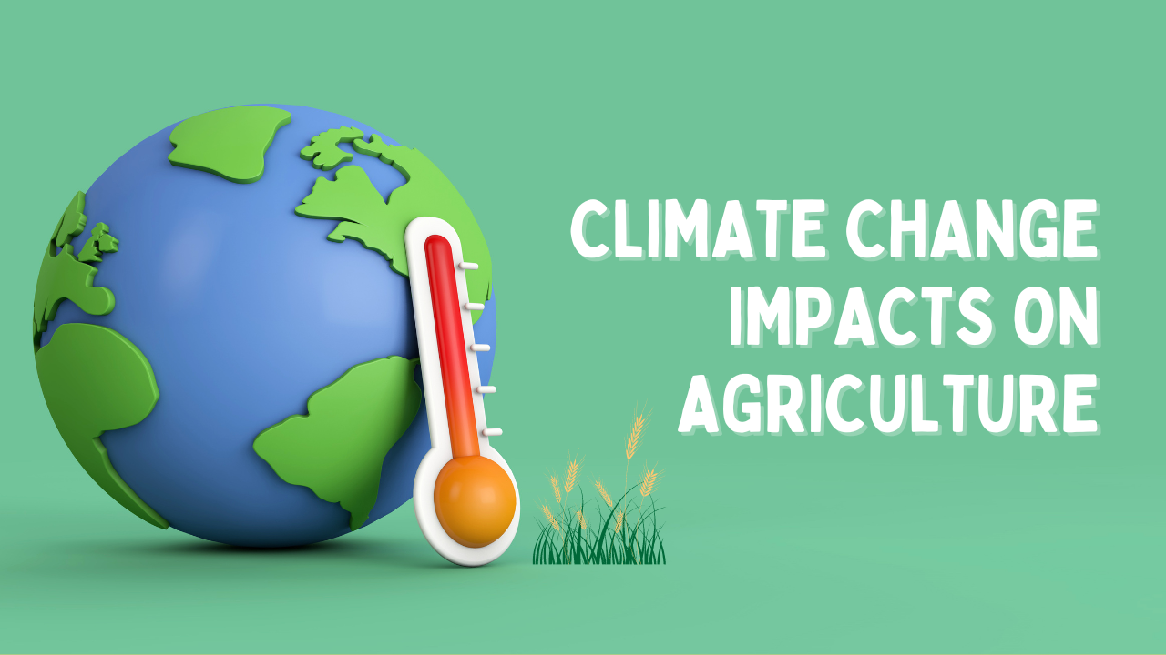 climate change impacts on agriculture