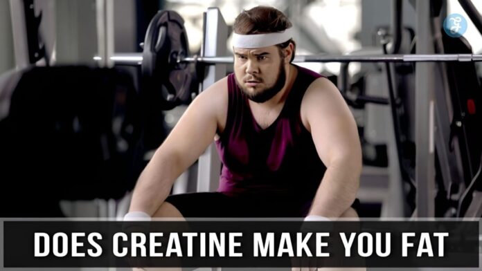 does creatine make you fat