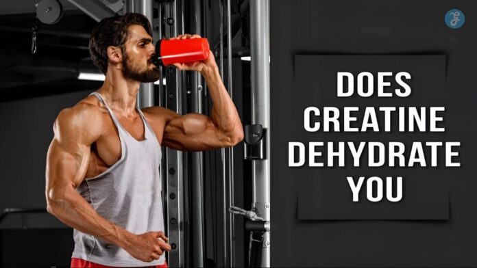 does creatine dehydrate you