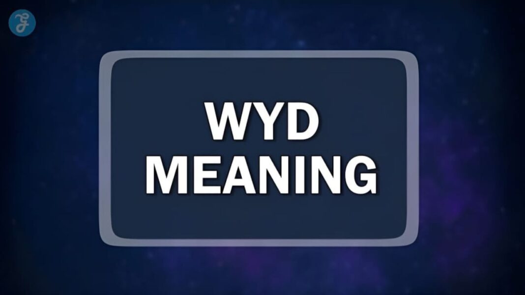 wyd-meaning-better-understanding-to-modern-communication