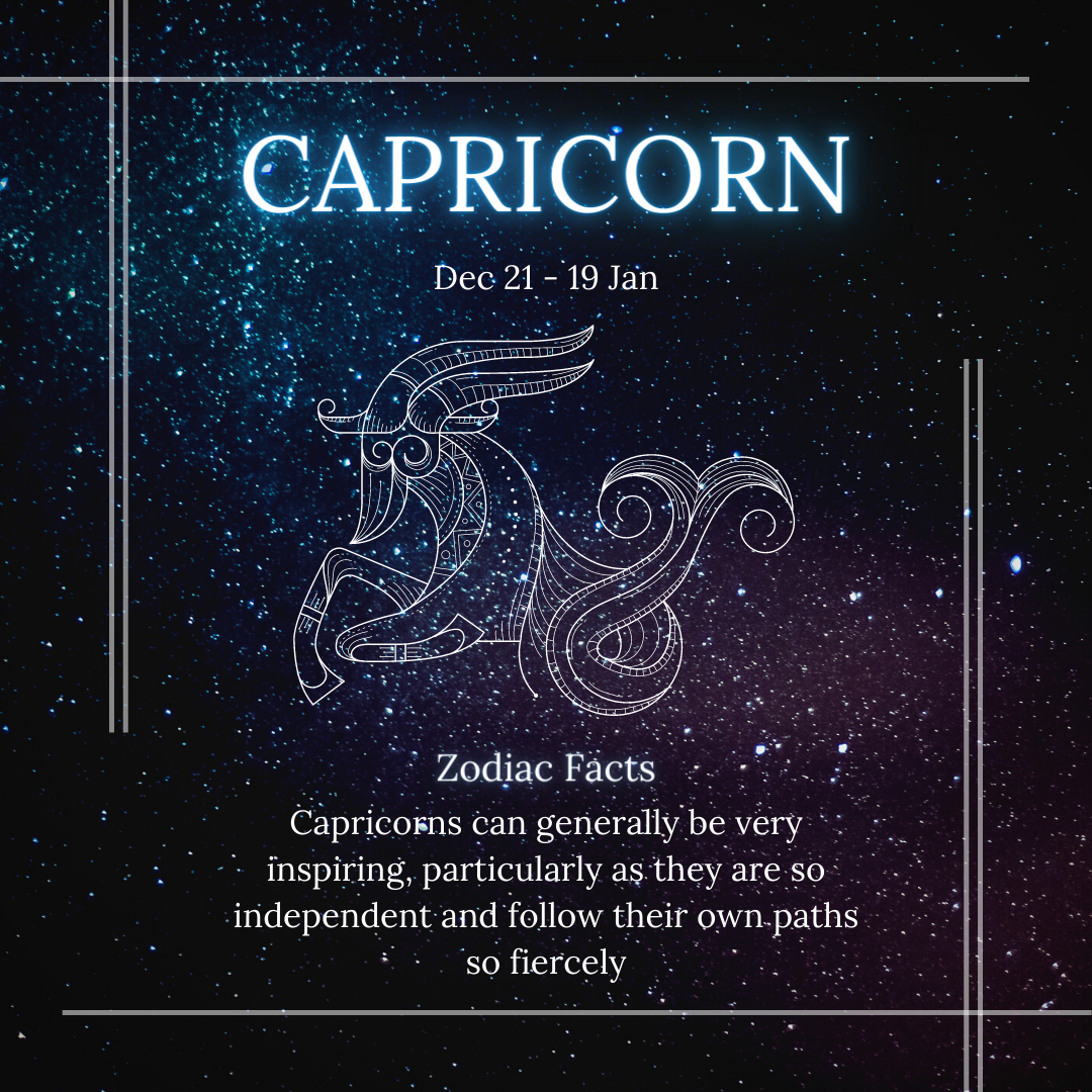 capricorn zodiac facts