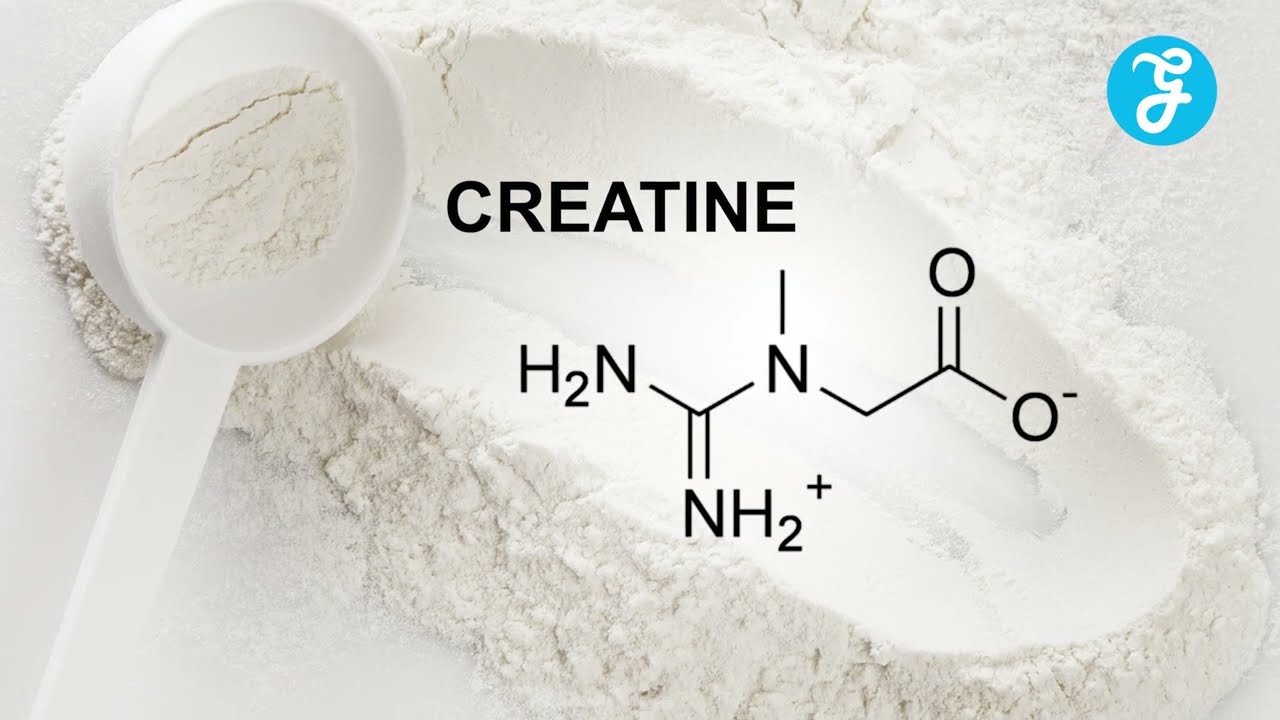 Creatine