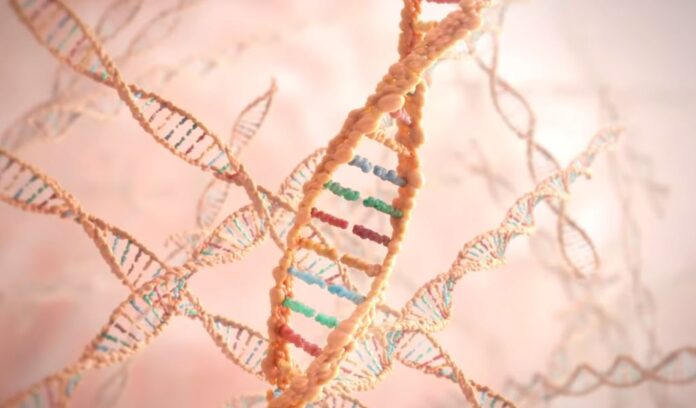 Artificial DNA Triumphs in Eradicating Cancer Cells
