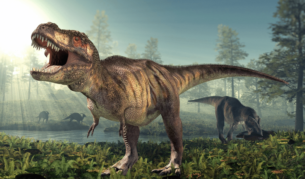 History And Discovery of Nigersaurus
